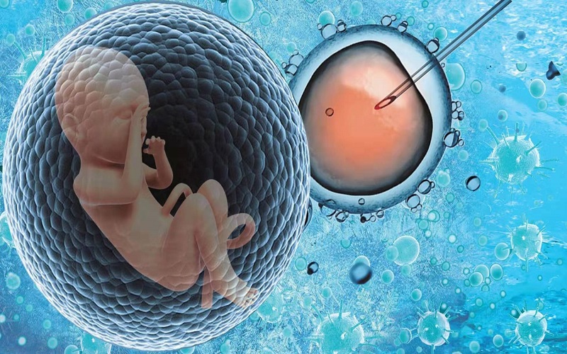 艾滋病男子到泉州洗精子做供卵试管婴儿，生个健康宝宝!